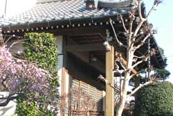 寺
